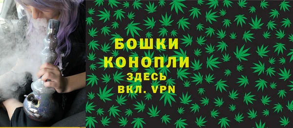 стафф Майский