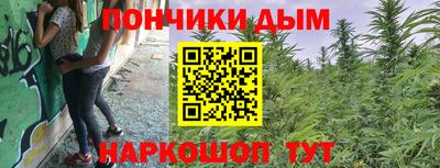 гашик Аргун