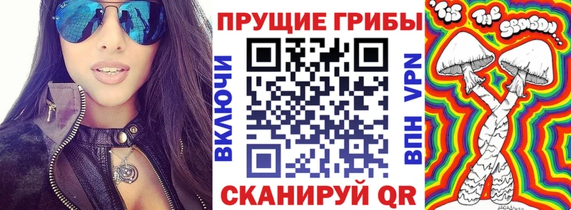 Галлюциногенные грибы MAGIC MUSHROOMS Курганинск